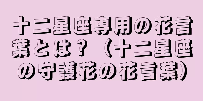 十二星座専用の花言葉とは？（十二星座の守護花の花言葉）