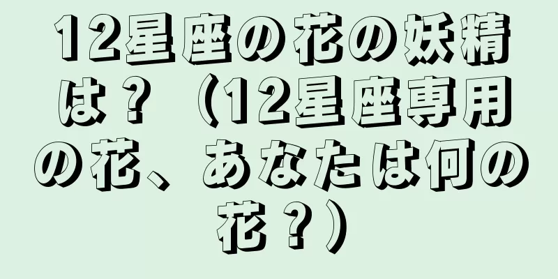 12星座の花の妖精は？（12星座専用の花、あなたは何の花？）