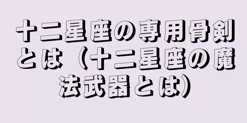 十二星座の専用骨剣とは（十二星座の魔法武器とは）