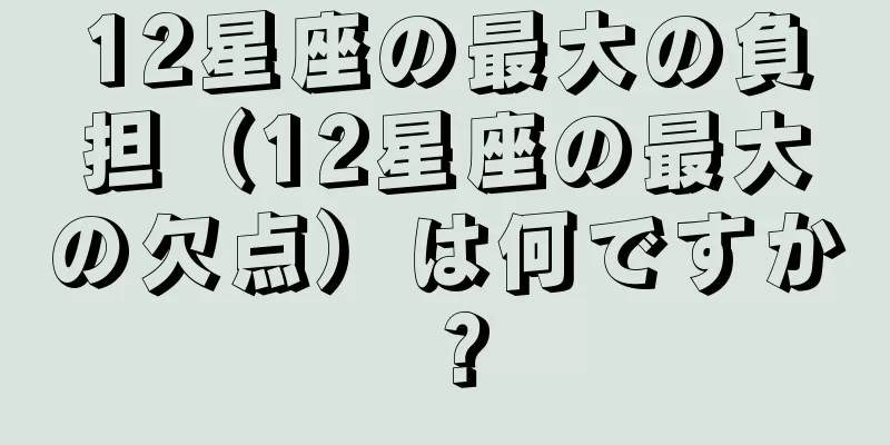 12星座の最大の負担（12星座の最大の欠点）は何ですか？