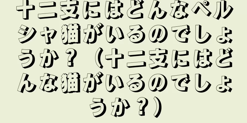 十二支にはどんなペルシャ猫がいるのでしょうか？（十二支にはどんな猫がいるのでしょうか？）