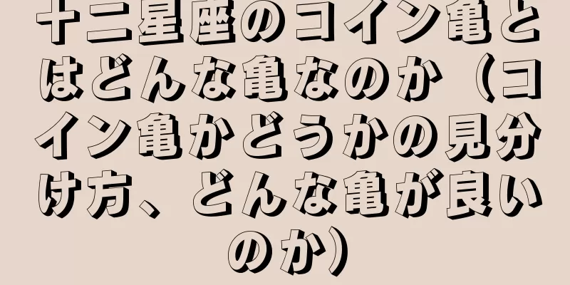 十二星座のコイン亀とはどんな亀なのか（コイン亀かどうかの見分け方、どんな亀が良いのか）