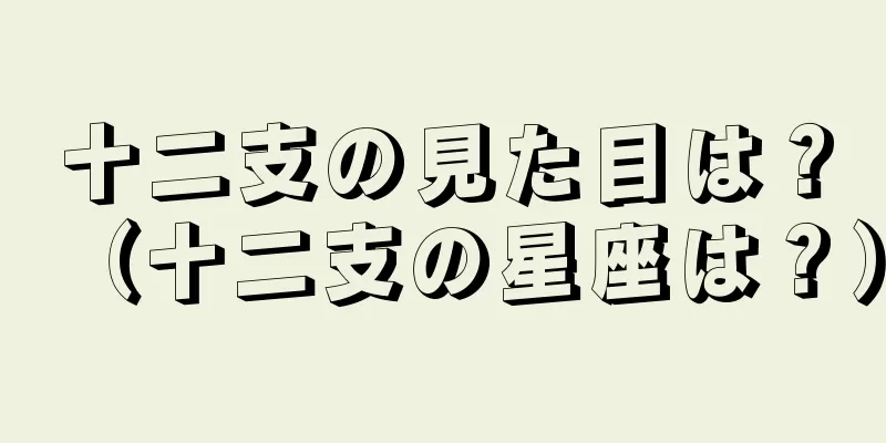 十二支の見た目は？（十二支の星座は？）