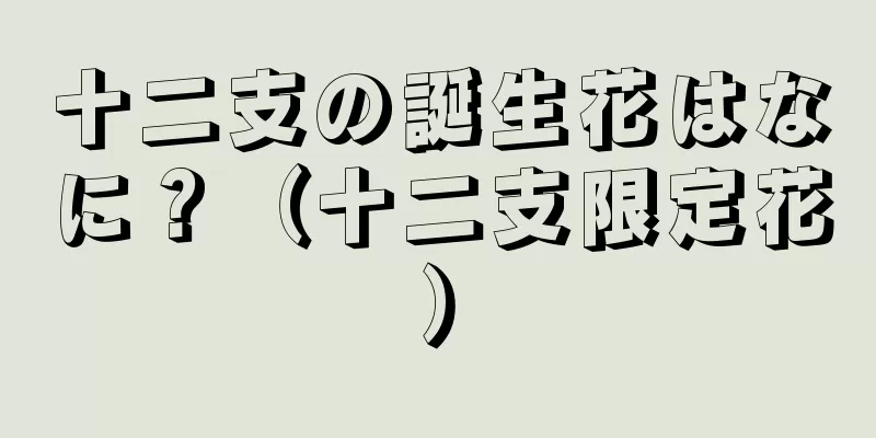 十二支の誕生花はなに？（十二支限定花）