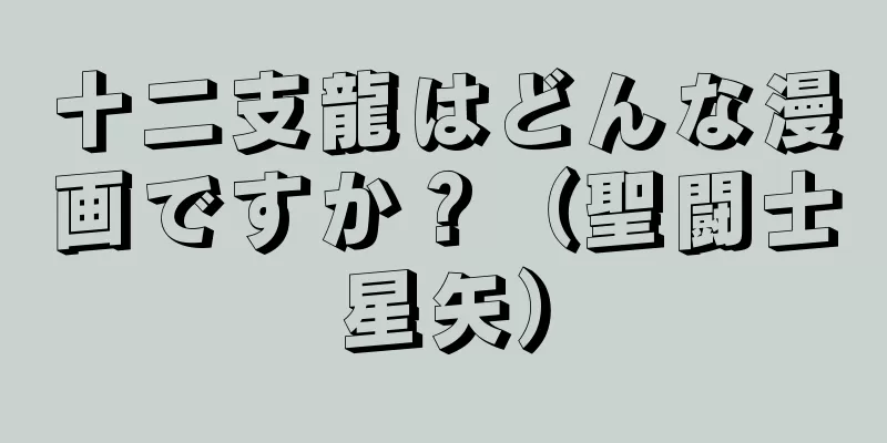 十二支龍はどんな漫画ですか？（聖闘士星矢）