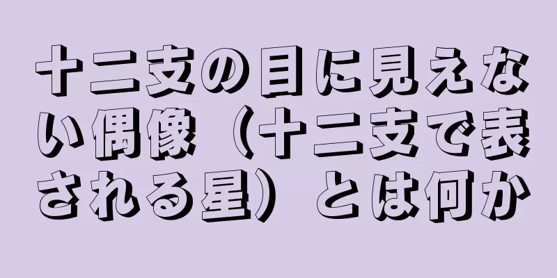 十二支の目に見えない偶像（十二支で表される星）とは何か