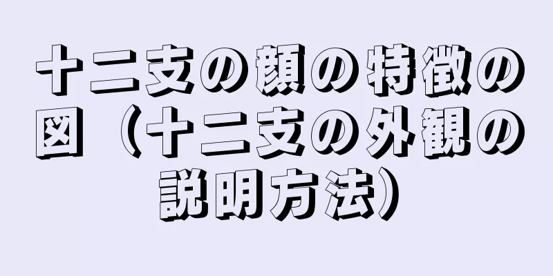 十二支の顔の特徴の図（十二支の外観の説明方法）