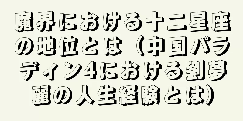 魔界における十二星座の地位とは（中国パラディン4における劉夢麗の人生経験とは）