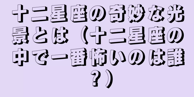十二星座の奇妙な光景とは（十二星座の中で一番怖いのは誰？）