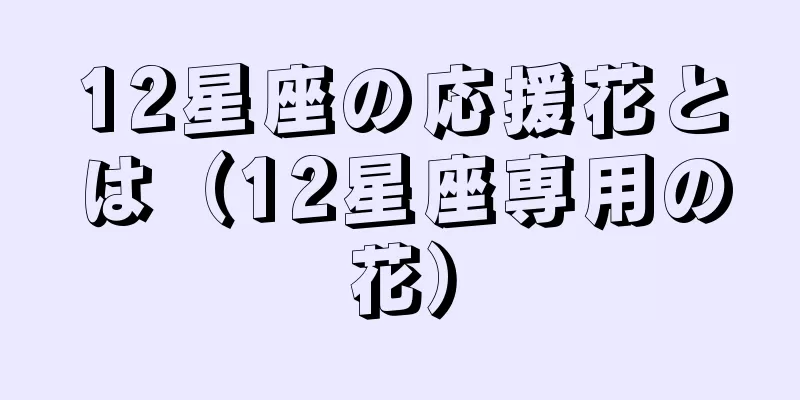 12星座の応援花とは（12星座専用の花）