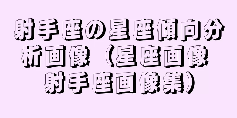 射手座の星座傾向分析画像（星座画像 射手座画像集）