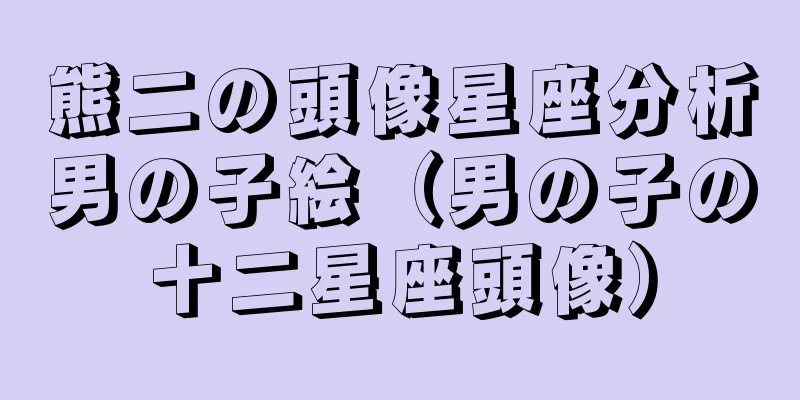 熊二の頭像星座分析男の子絵（男の子の十二星座頭像）