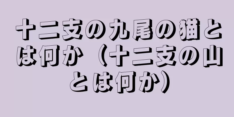 十二支の九尾の猫とは何か（十二支の山とは何か）