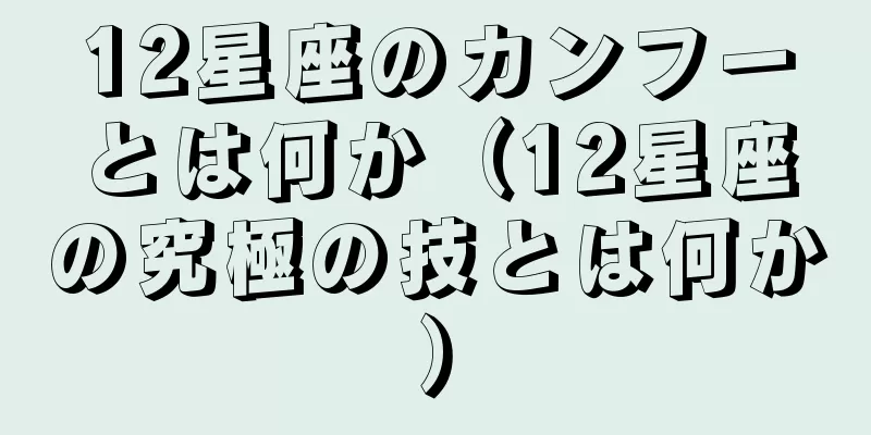 12星座のカンフーとは何か（12星座の究極の技とは何か）