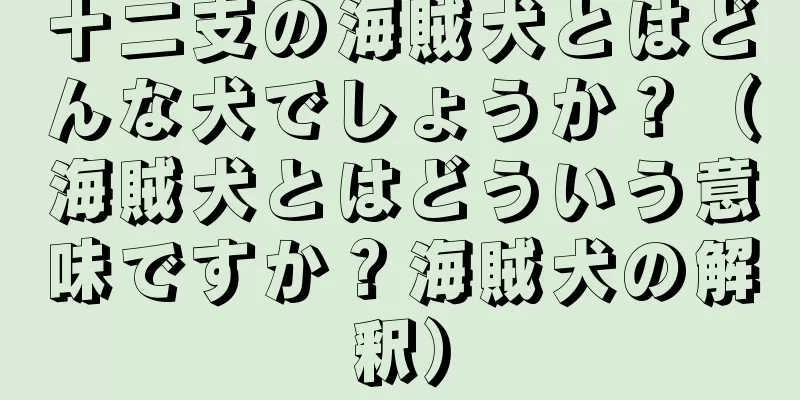 十二支の海賊犬とはどんな犬でしょうか？（海賊犬とはどういう意味ですか？海賊犬の解釈）