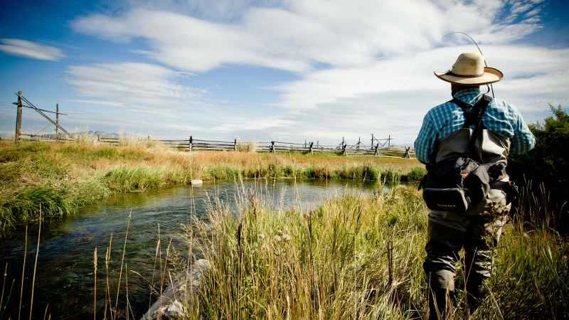 釣客在蒙大拿州麥考伊泉溪釣魚