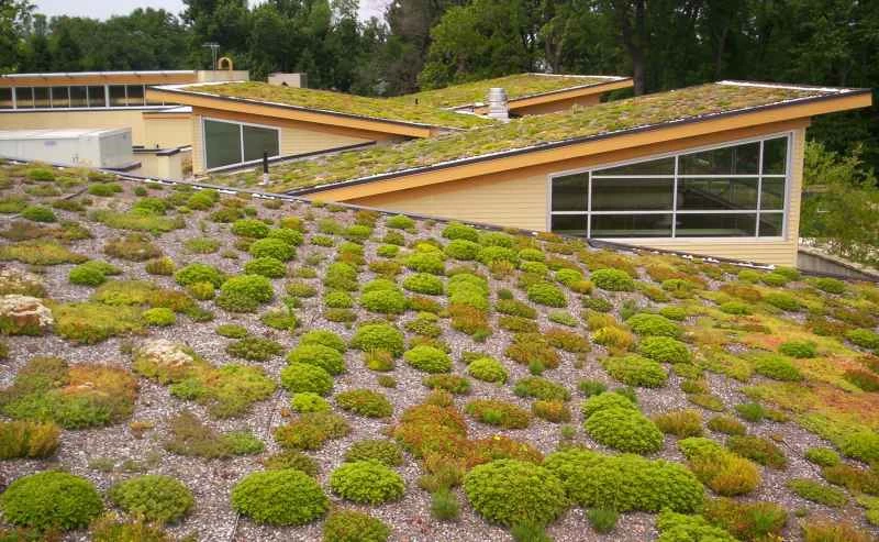 位於維吉尼亞州阿靈頓的沃爾特·里德社區中心的綠色屋頂。