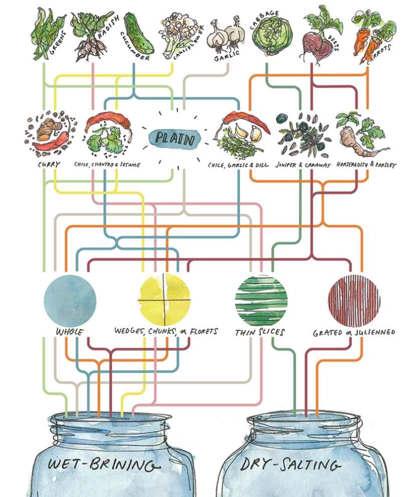 如何發酵（幾乎）所有東西