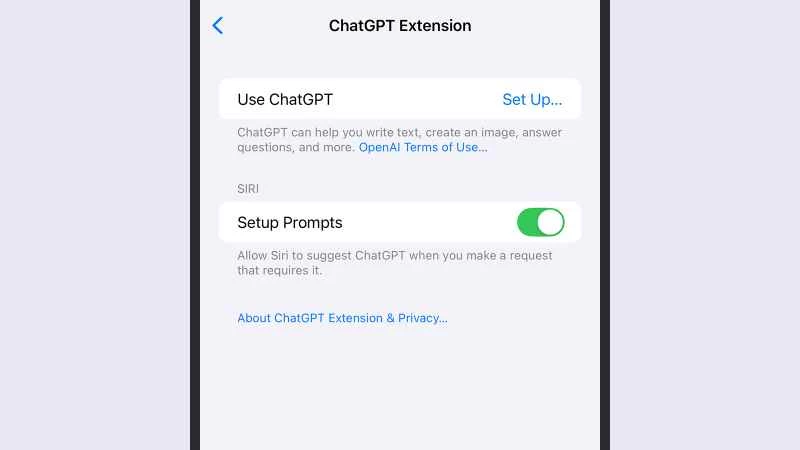chatgpt 擴充選項