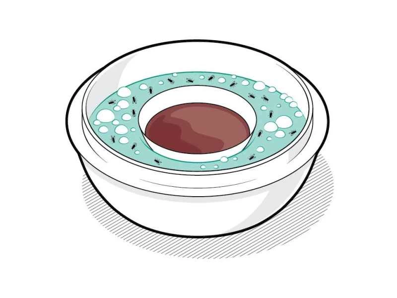 一碗洗潔精、水、紅酒醋和果蠅