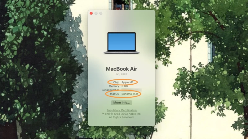 關於本機 Mac 資訊窗口