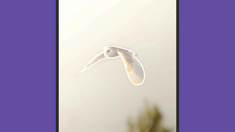 選取某個物件後，你可以刪除它、移動它或調整它的大小。