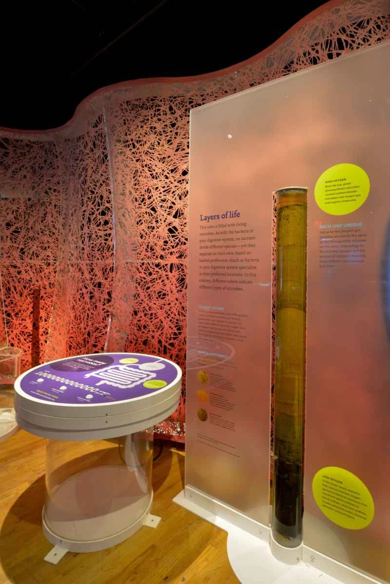 美國自然歷史博物館的溫諾格拉茨基專欄