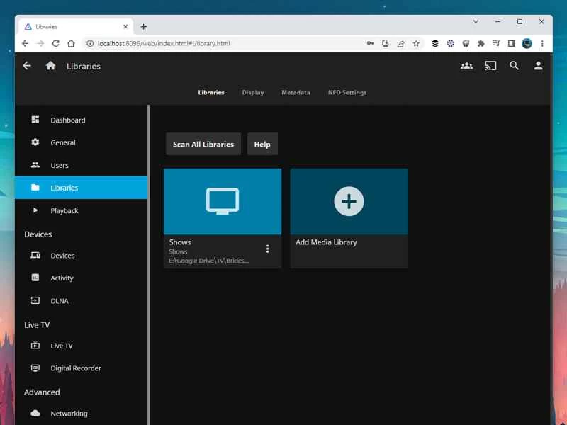 Jellyfin 內部的設定介面。