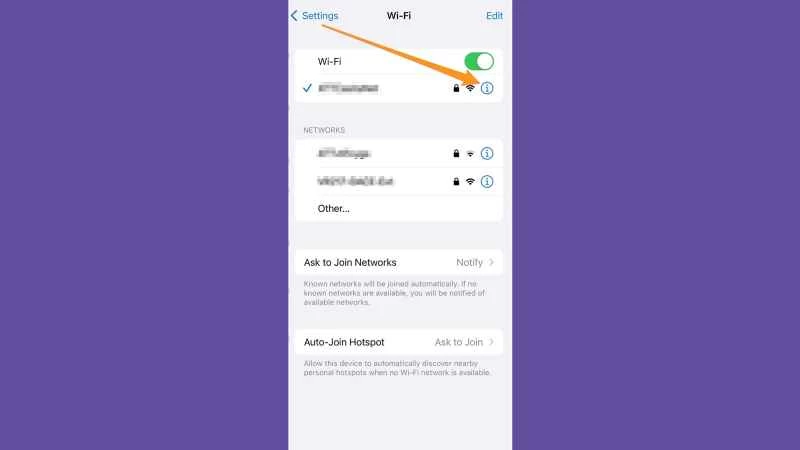 iOS WiFi 設定畫面，顯示查看 WiFi 密碼的按鈕位置。