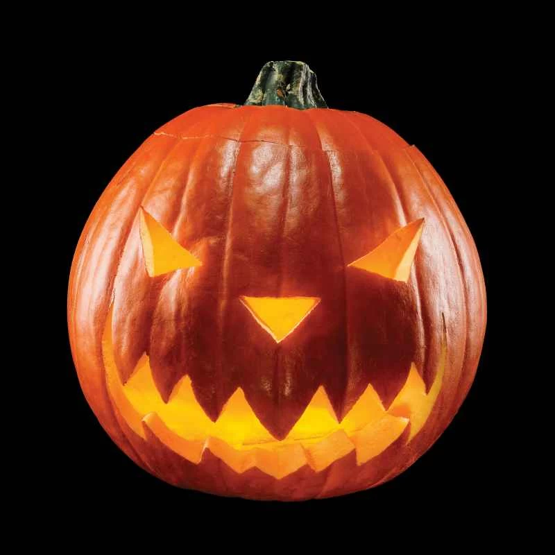 12款受科普作品啟發而設計的萬聖節服裝