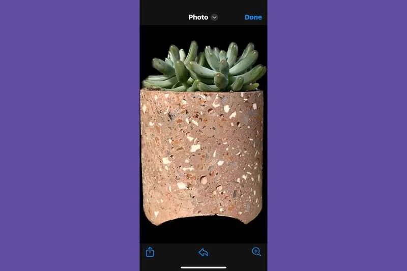 iPhone 照片應用程式中,主體已從照片中分離出來。