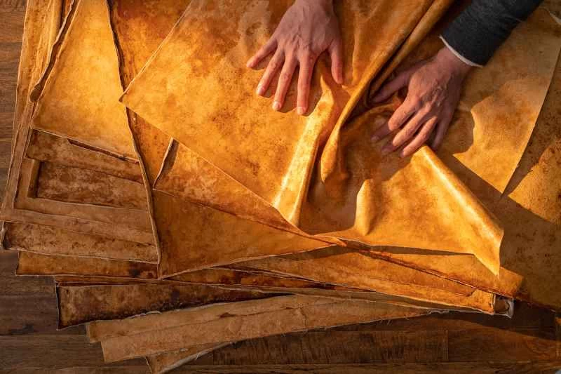 棕色蘑菇“皮革”片