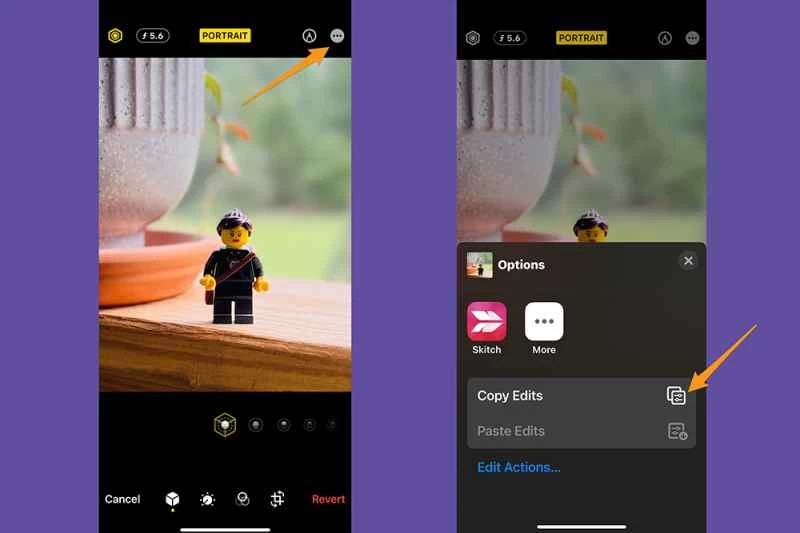 iPhone 照片應用程式處於編輯模式,示範如何從一張照片複製編輯效果。
