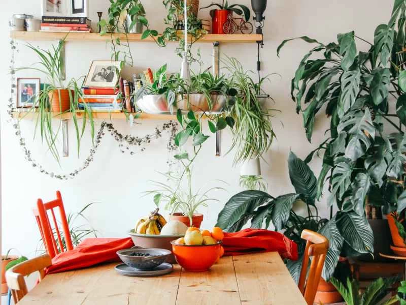 9個以大自然為靈感的裝飾技巧，讓你的家成為更放鬆的空間