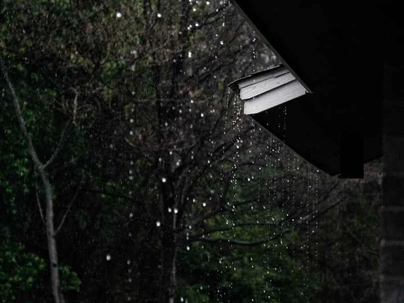 收集雨水既能省錢又能保護地球，是個簡單易行的方法。