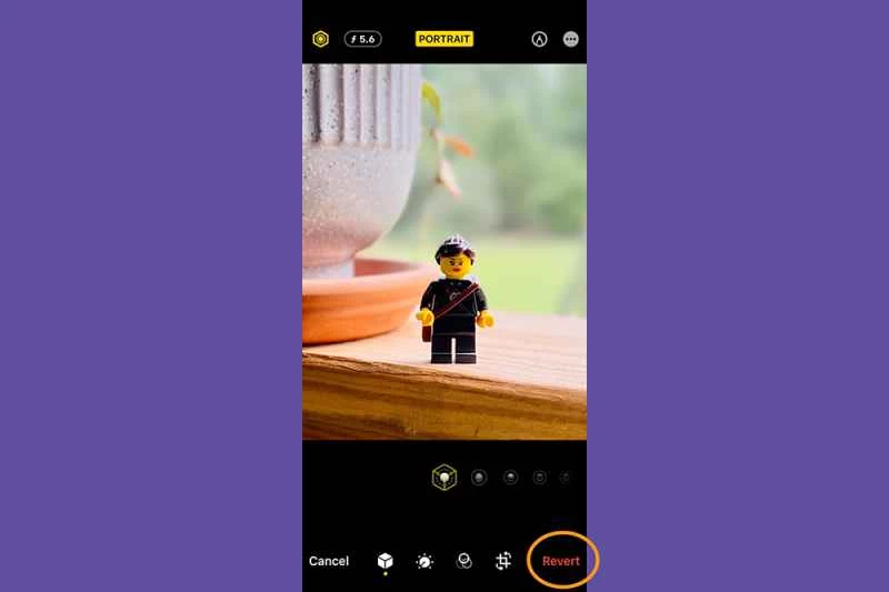 iPhone 照片應用程式處於編輯模式,示範如何還原任何照片的變更。