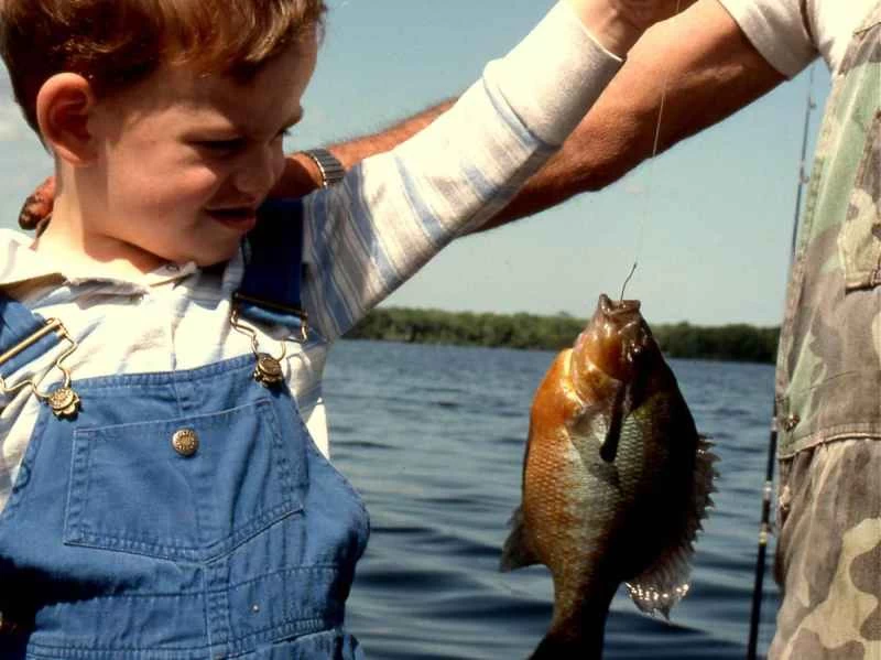 淡水釣入門指南