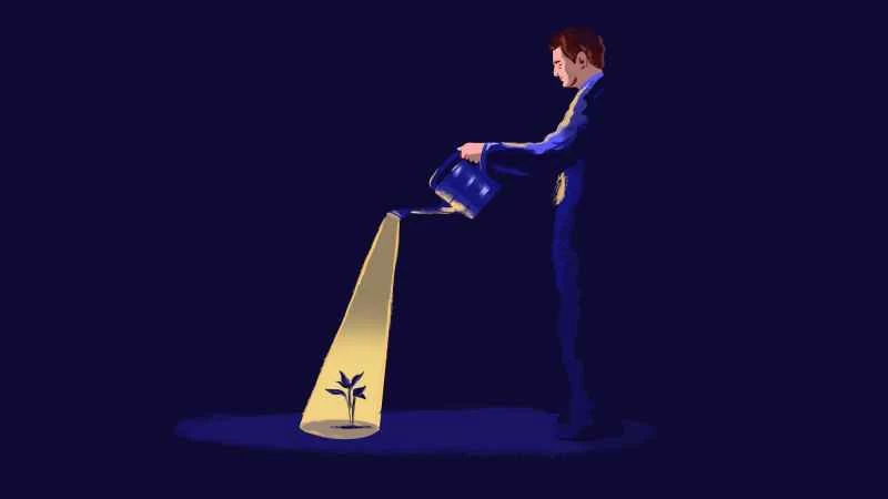 如何在黑暗中種植植物