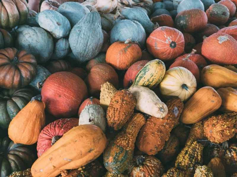 以永續的方式慶祝節日，享用節日大餐。