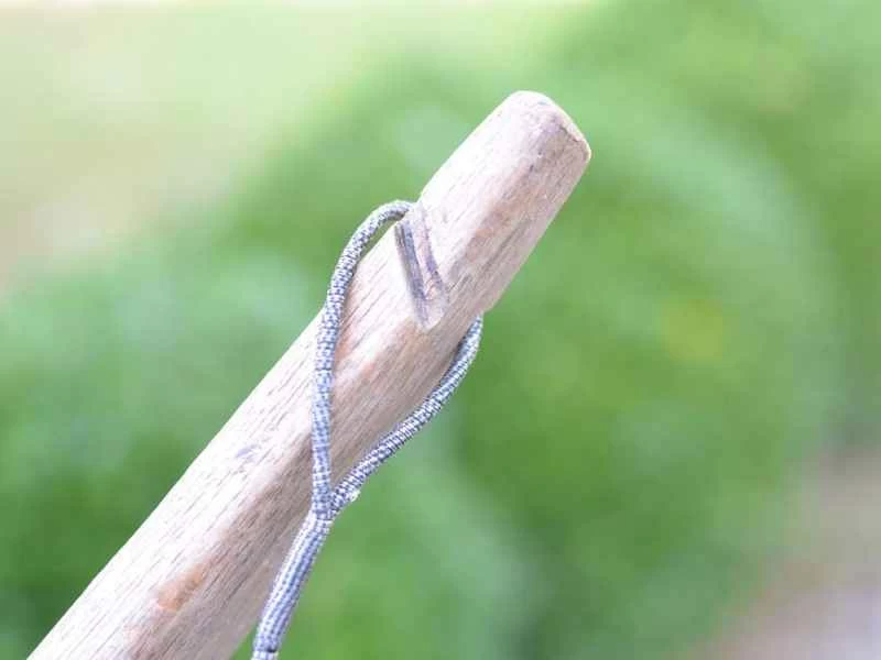 弓弦環繞在弓的末端，弓的木頭上刻有凹槽。