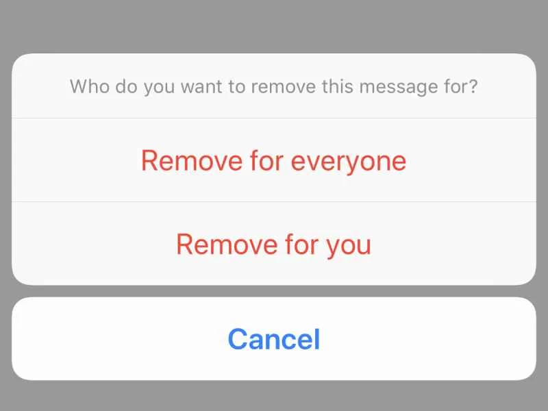 Facebook Messenger 中刪除已傳送訊息的選項。