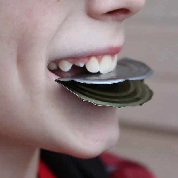 如何用湯罐製作求生哨