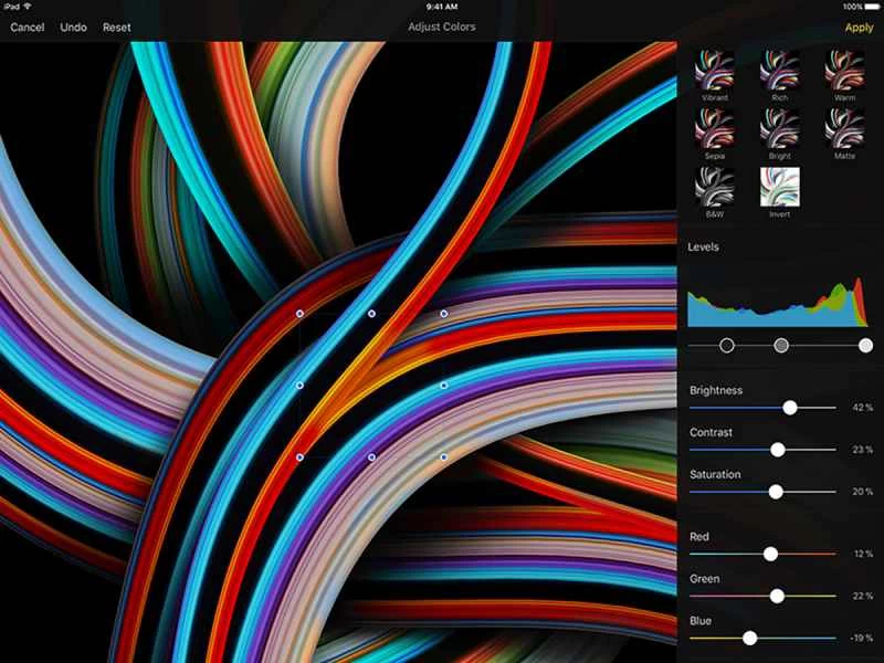 Pixelmator iPad Pro 應用。
