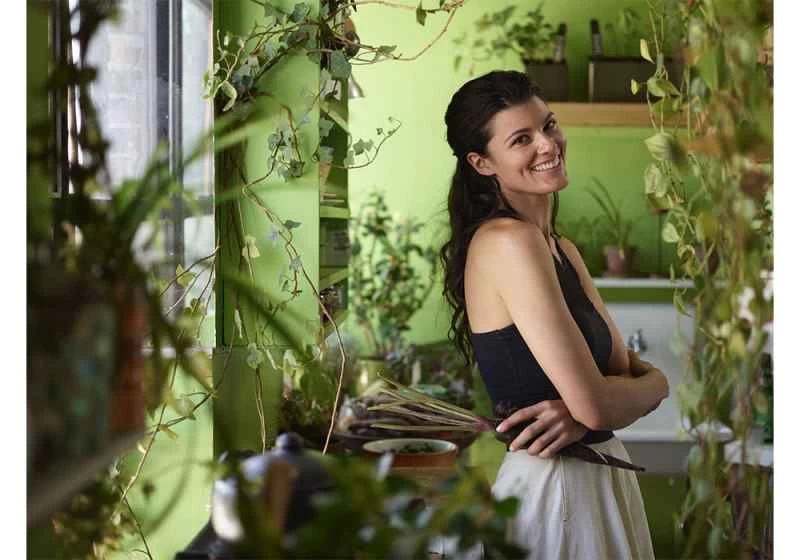 只需三步，即可開始打造鬱鬱蔥蔥的室內花園