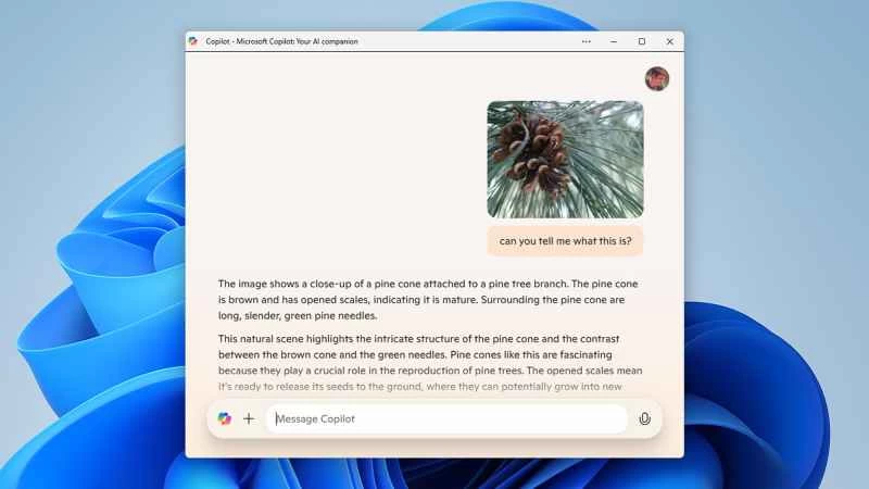副駕駛回答關於識別松果類型的問題的截圖