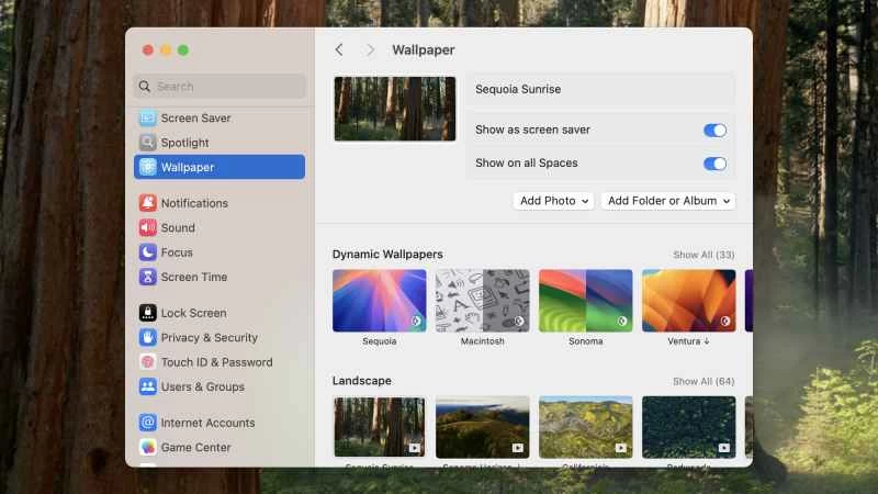 壁紙選項和設定的螢幕截圖