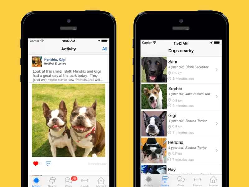 來見見我的狗狗