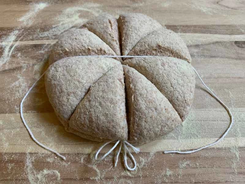 用繩子綁住的面向包樹