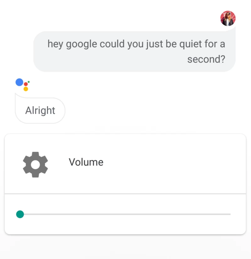 Google Assistant 進入靜默模式。