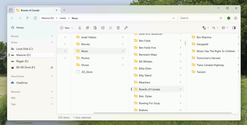 檔案樹狀結構選項的螢幕截圖